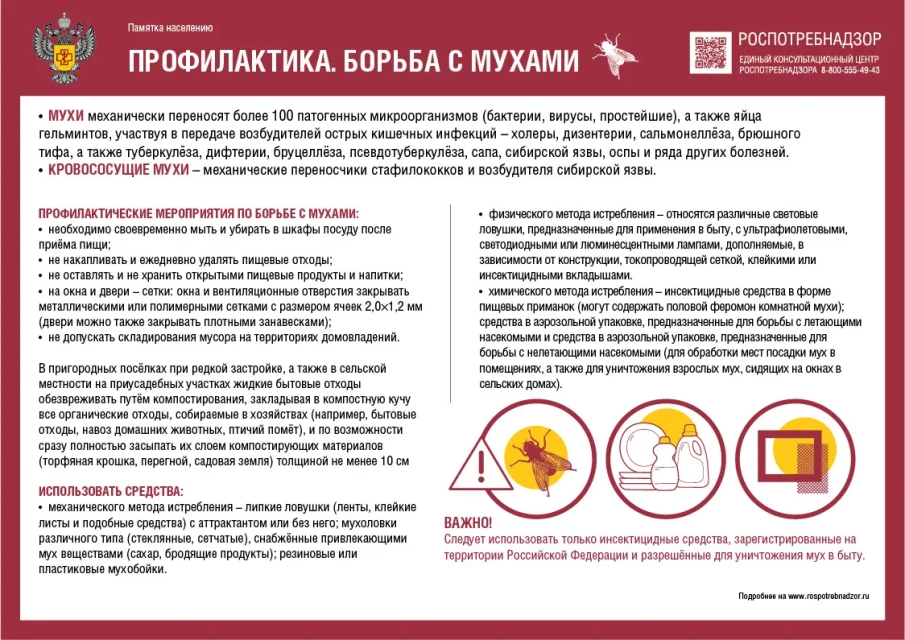 Памятка населению "Профилактика. Борьба с мухами"